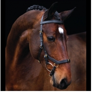 RAMBO Micklem Multibridle