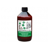 Dromy BOSWELLIA 1000ml