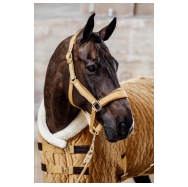 Kentucky Ohlávka Velvet 