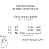 Český skokový pohár 